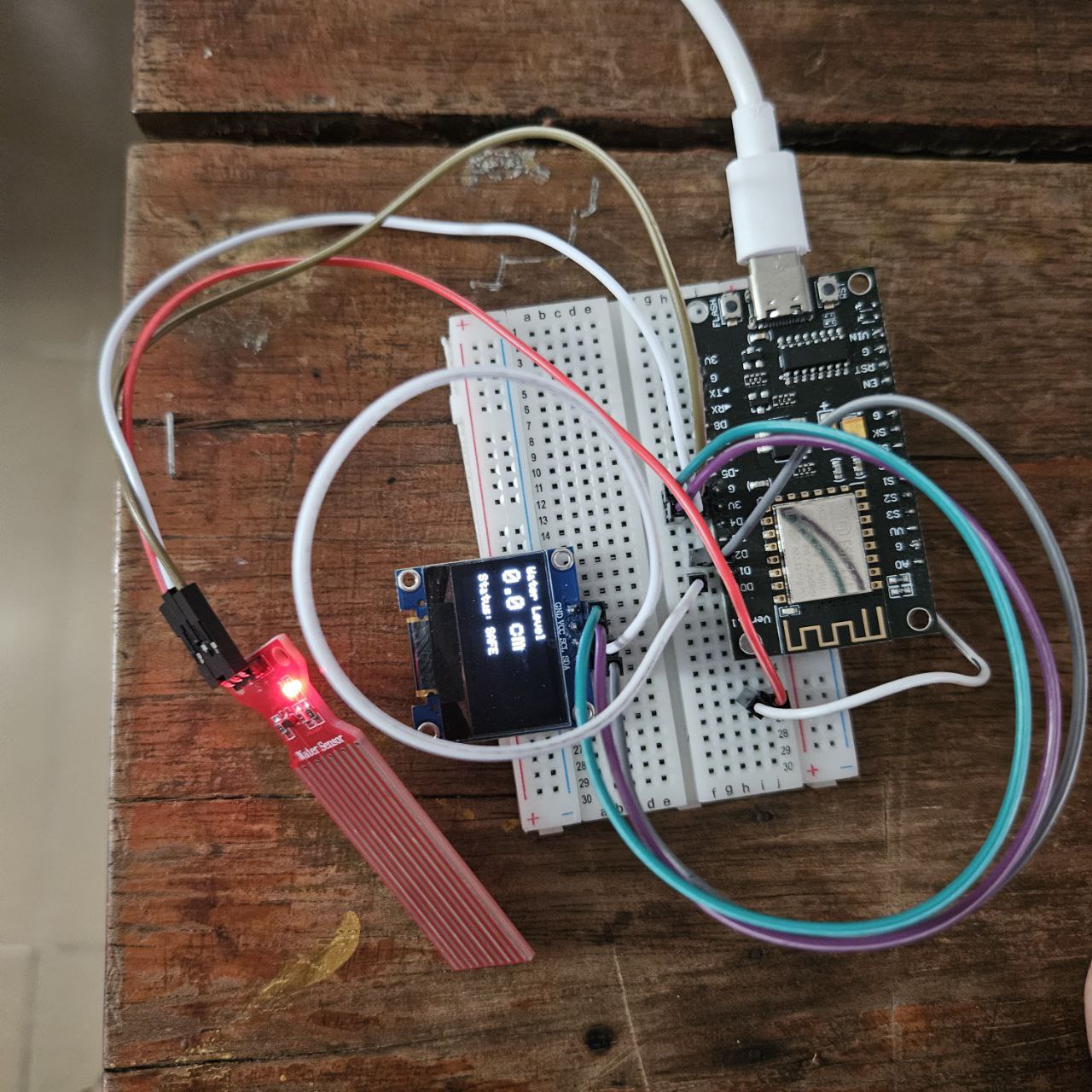 Water-Level Monitoring System
